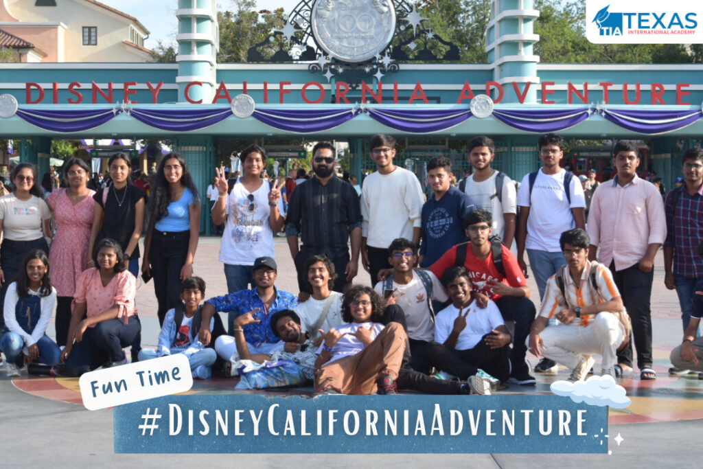 Disney California Adventure